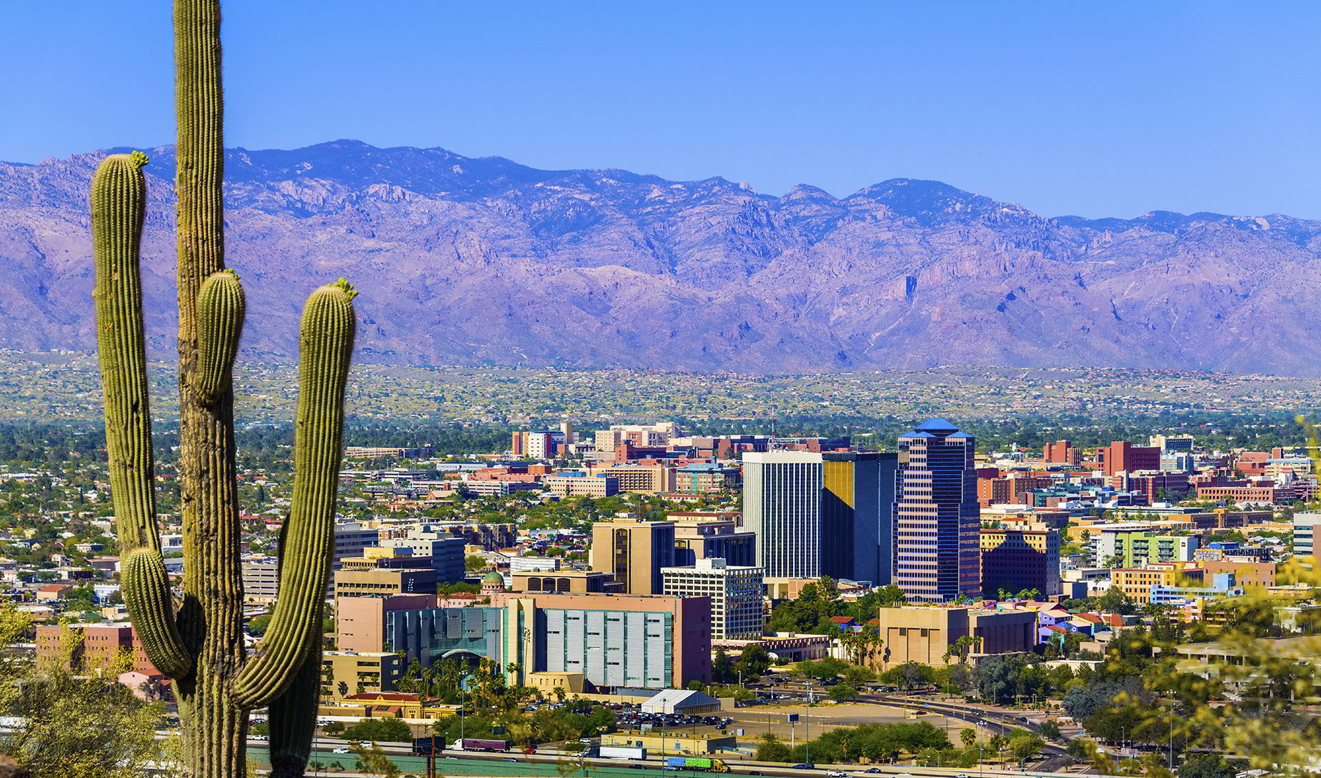 tmc get moving tucson half marathon