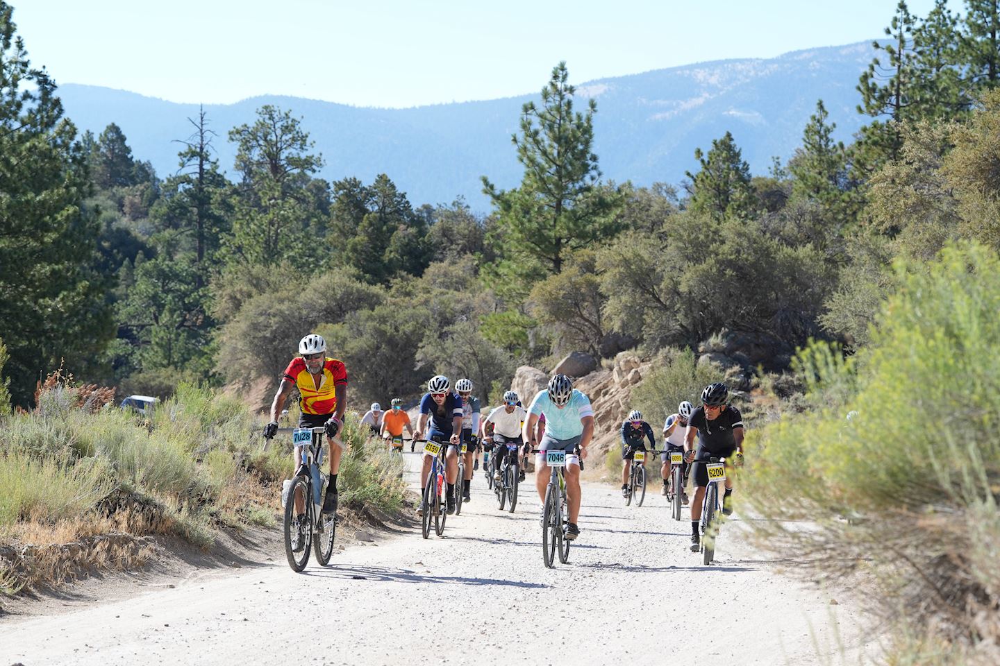 tour de big bear