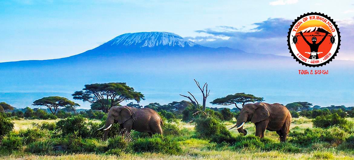 tour of kilimanjaro