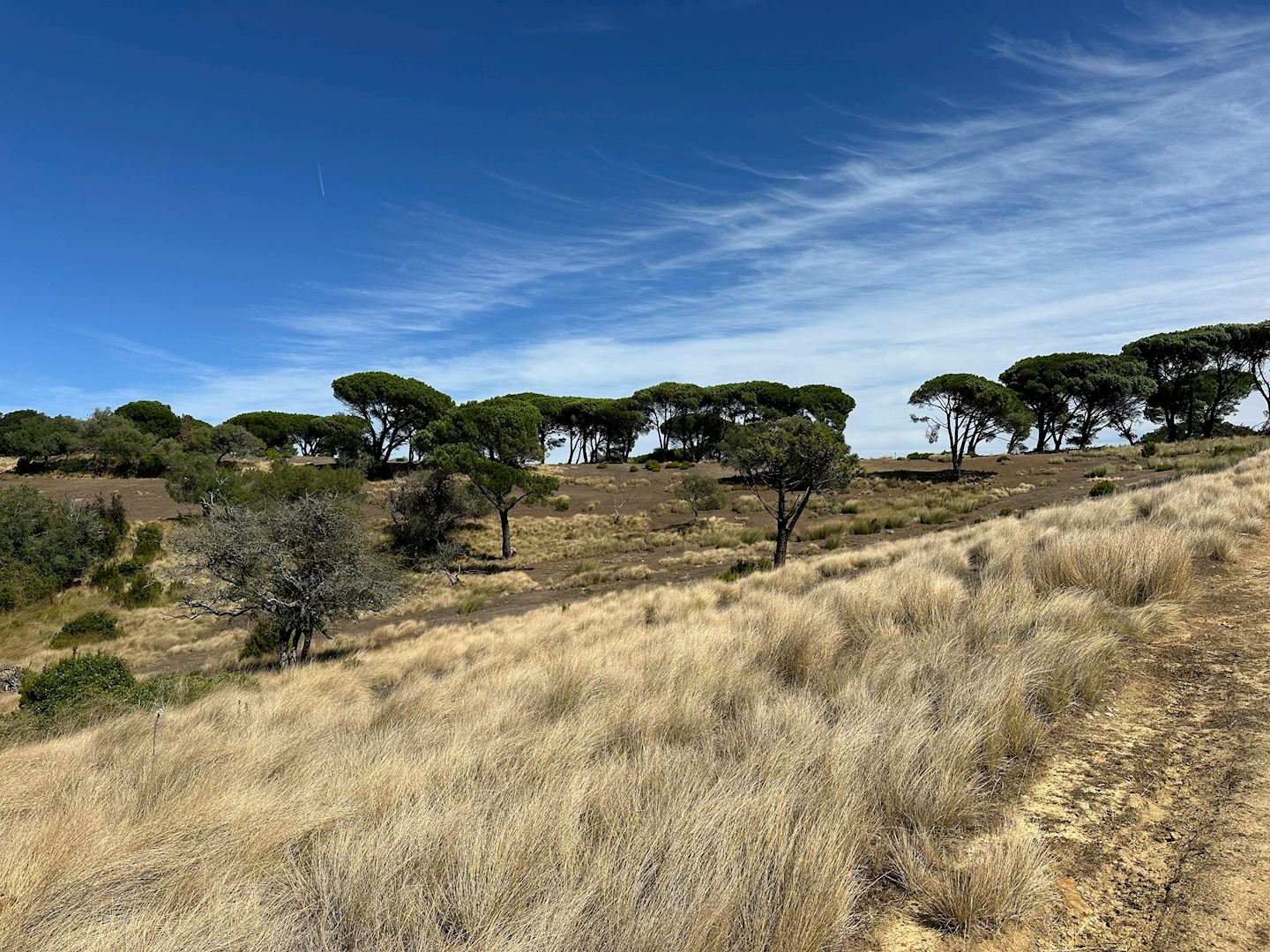 trail da tapada real de mafra