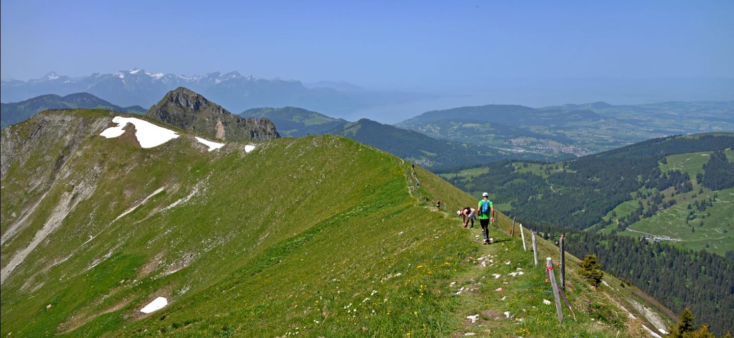 trail des paccots