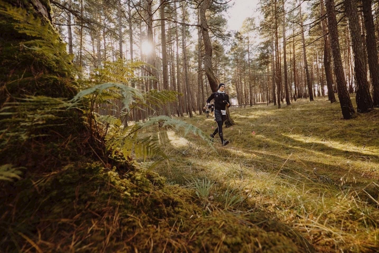 trail kursiu nerija