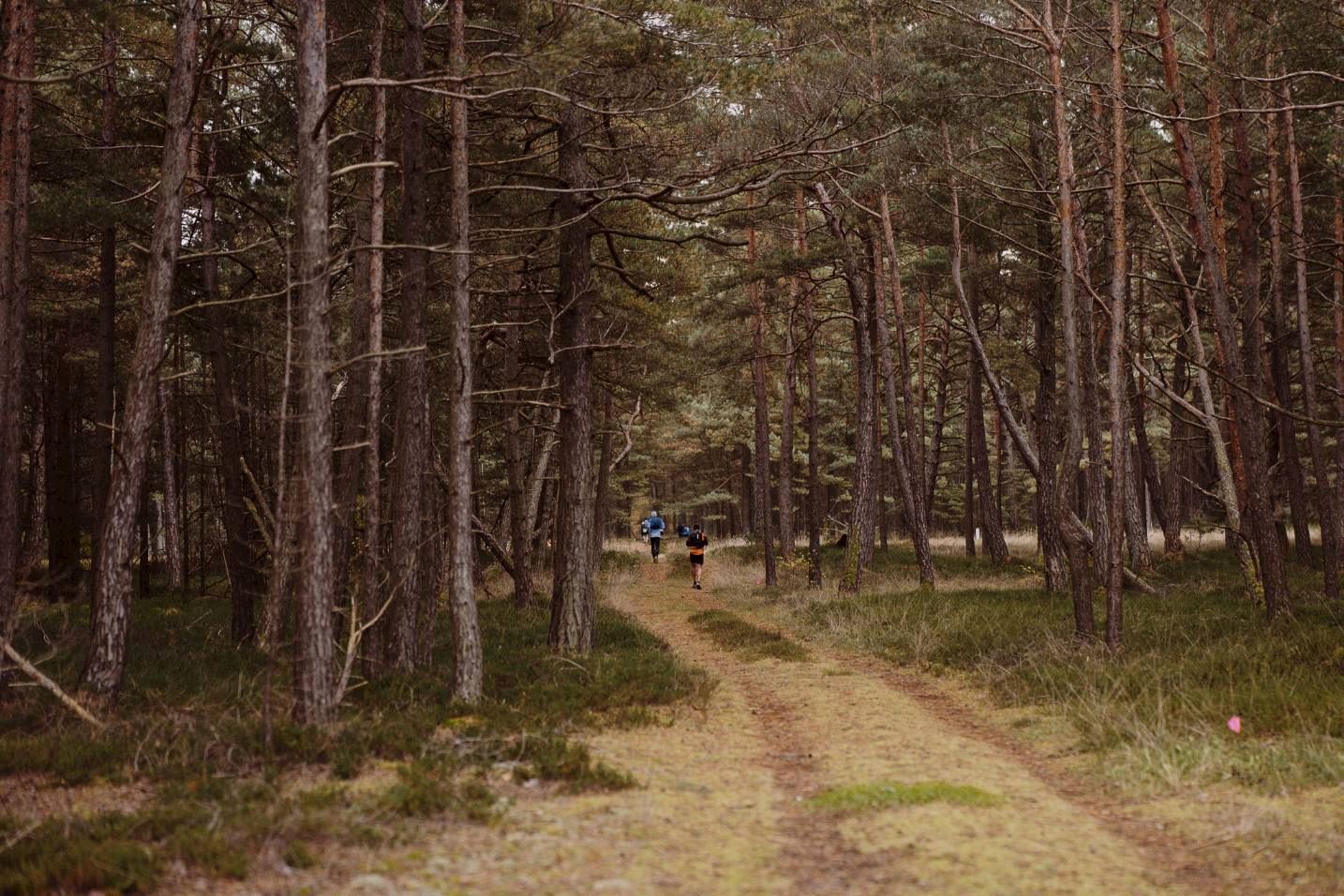 trail kursiu nerija
