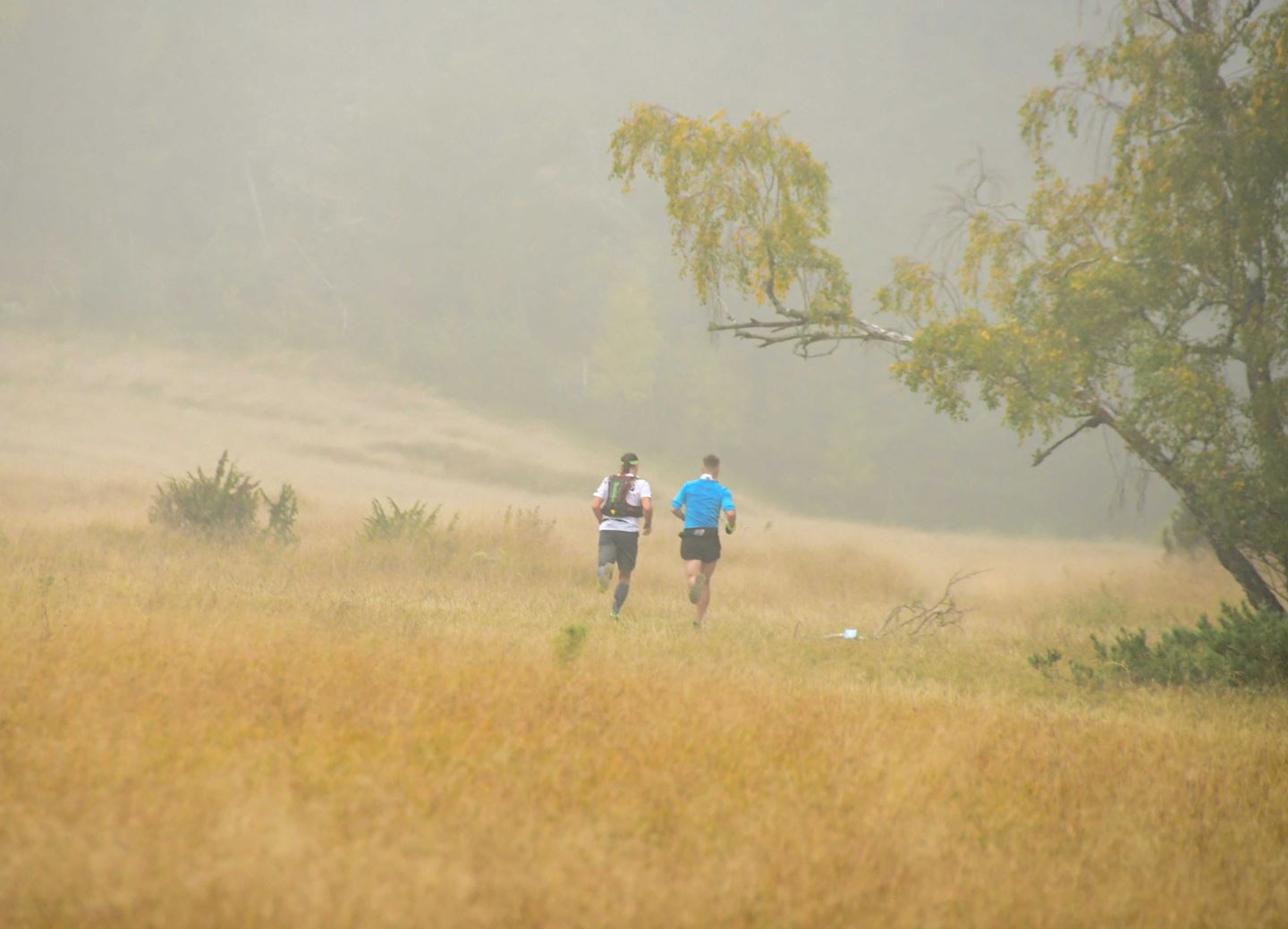 trail kursiu nerija