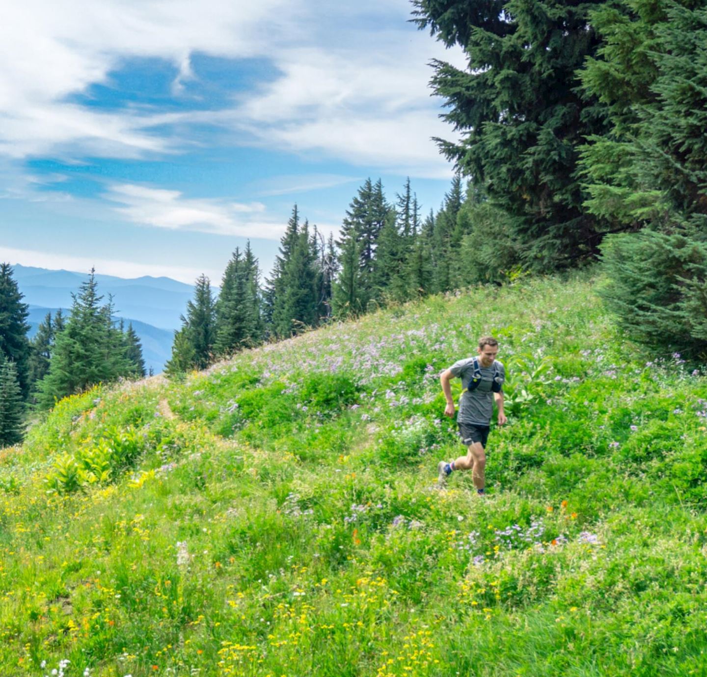 trail pursuit marathon half marathon 10k 5k