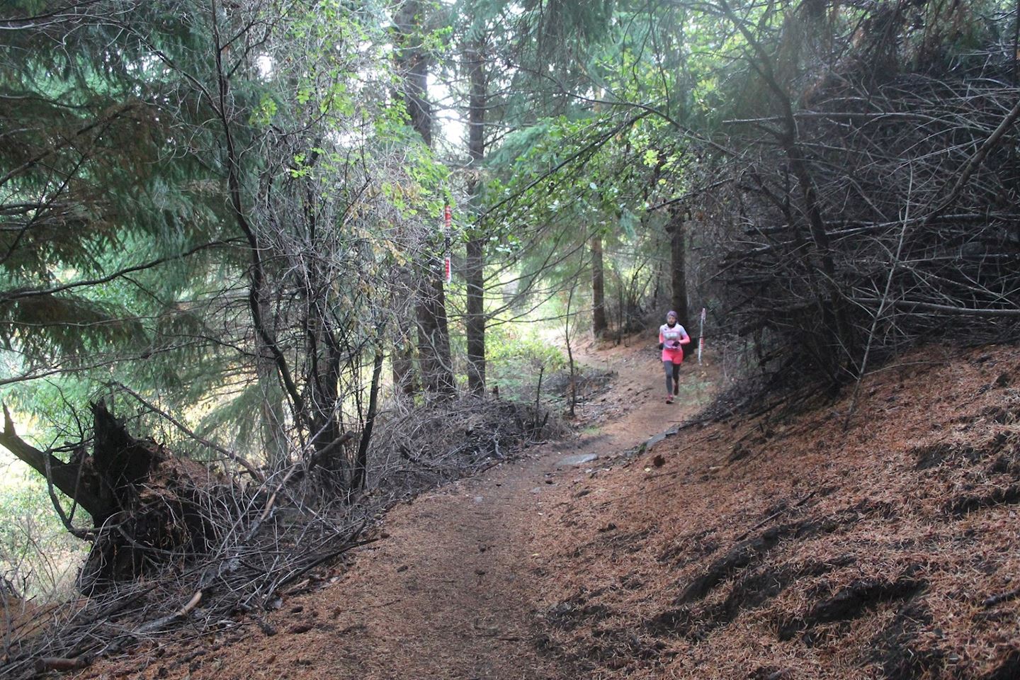 trail valle de los perdidos