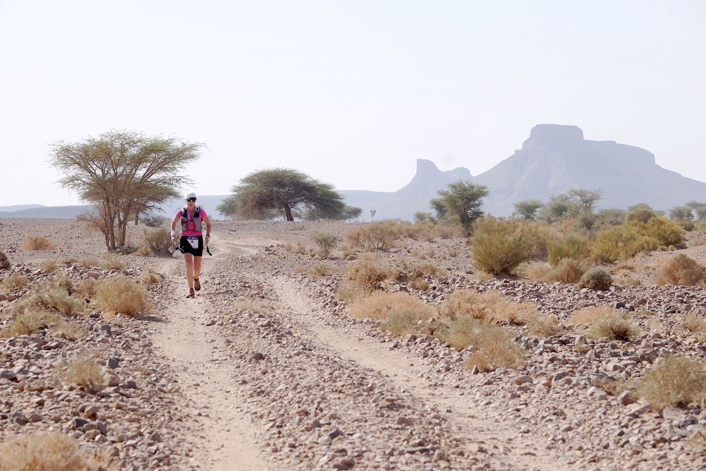 trans sahara marathon