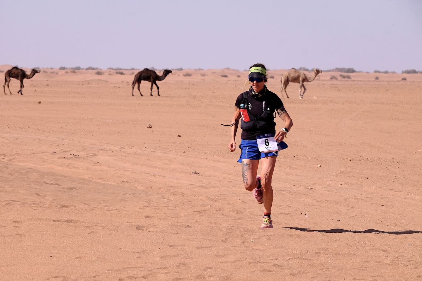 trans sahara marathon