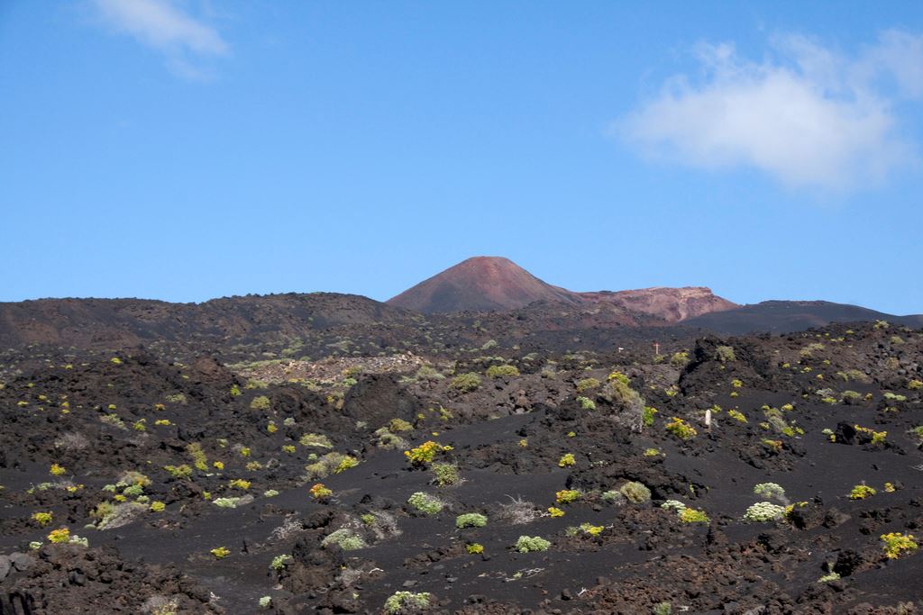 transvulcania