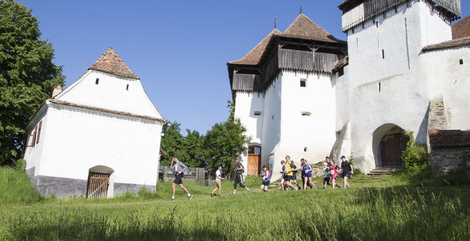 transylvanian bear race