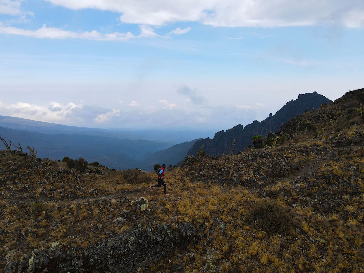 traverse run tanzania