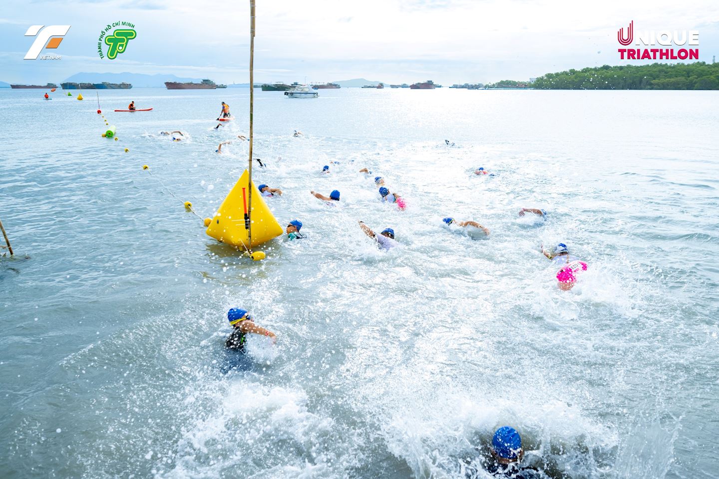 trifactor vietnam championship