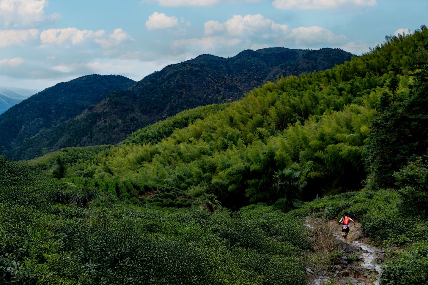 tsaigu trail