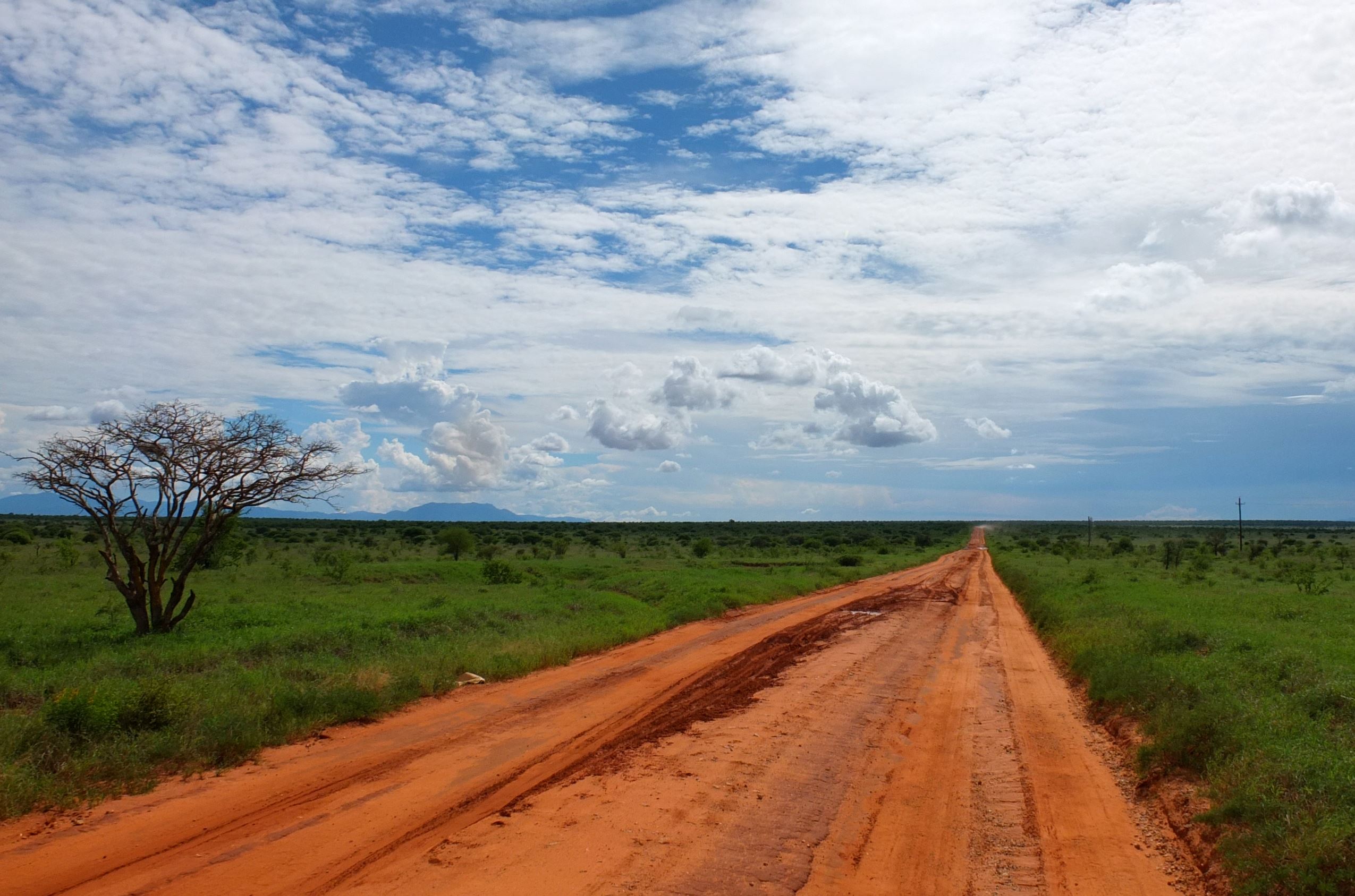 tsavorun