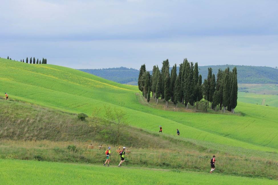 tuscany crossing