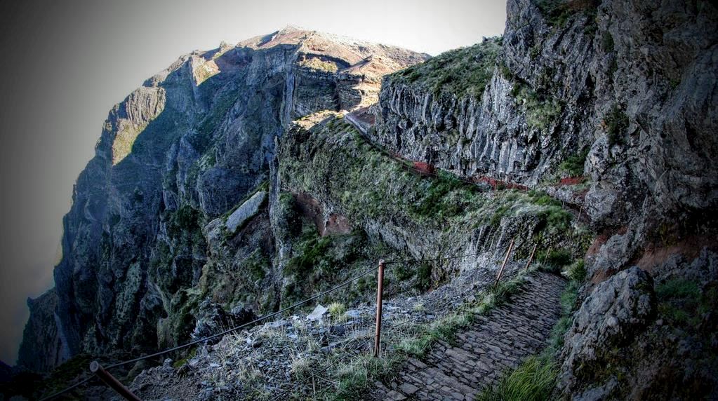 ultra madeira