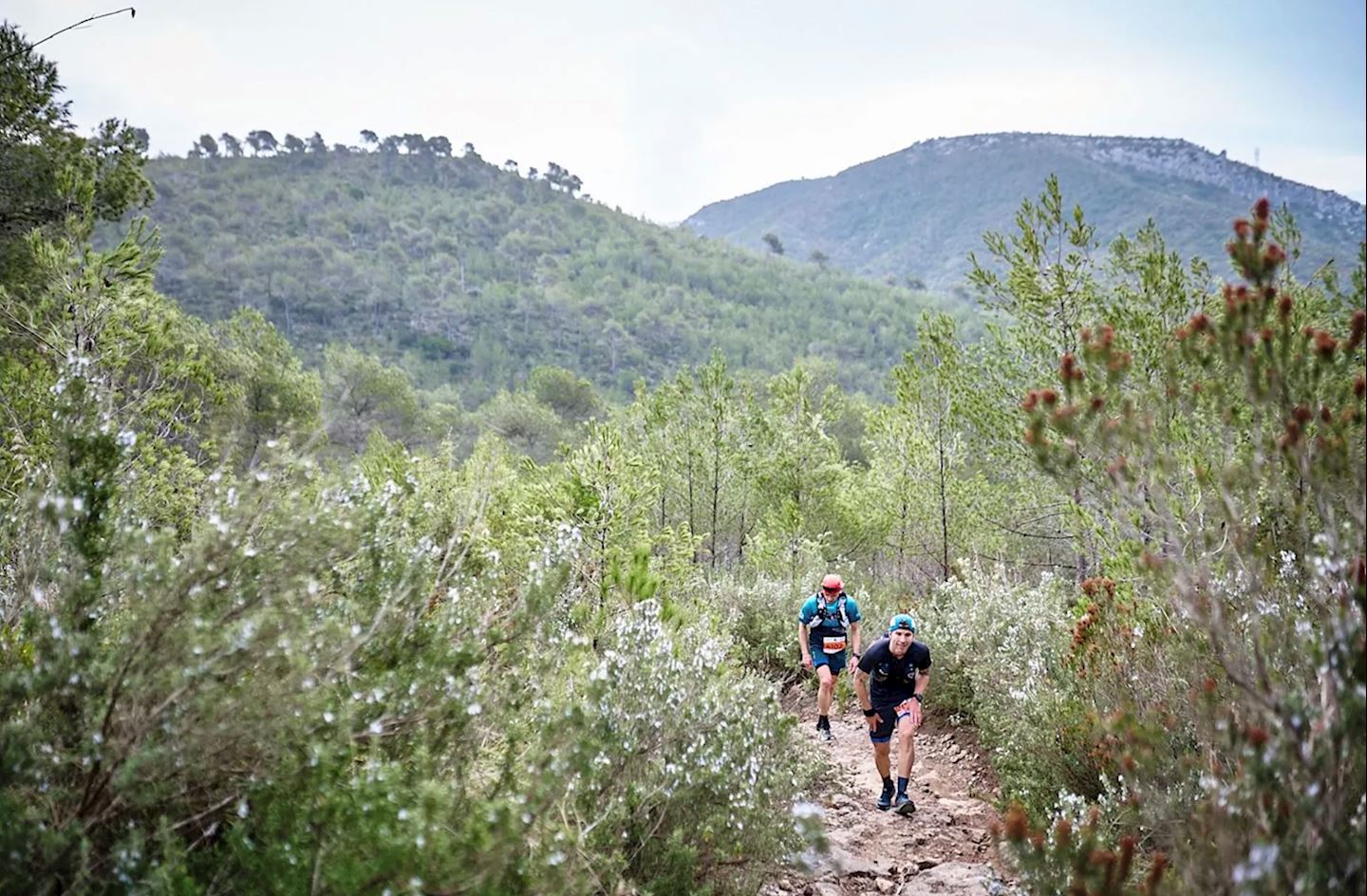 ultra trail barcelona old
