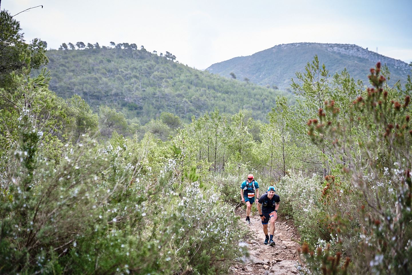 ultra trail barcelona