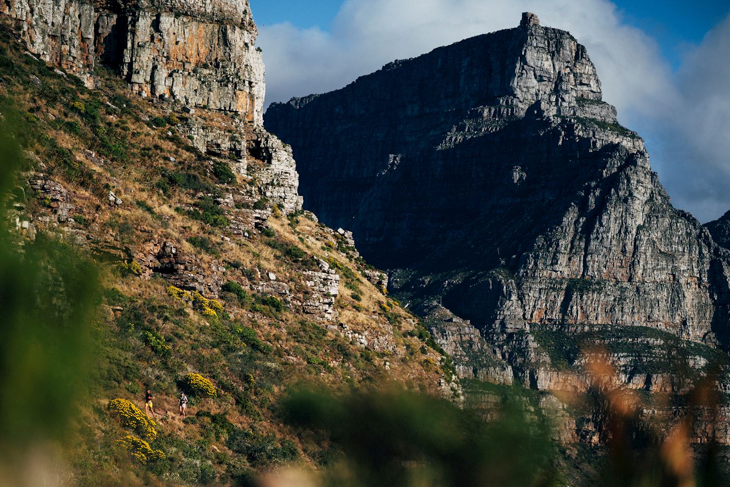 Ultratrail Cape Town, 2426 Nov 2023 World's Marathons lupon.gov.ph