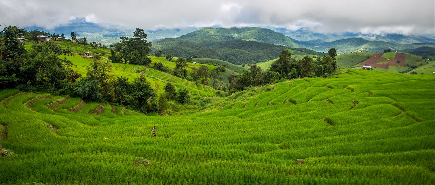 ultra trail chiang mai