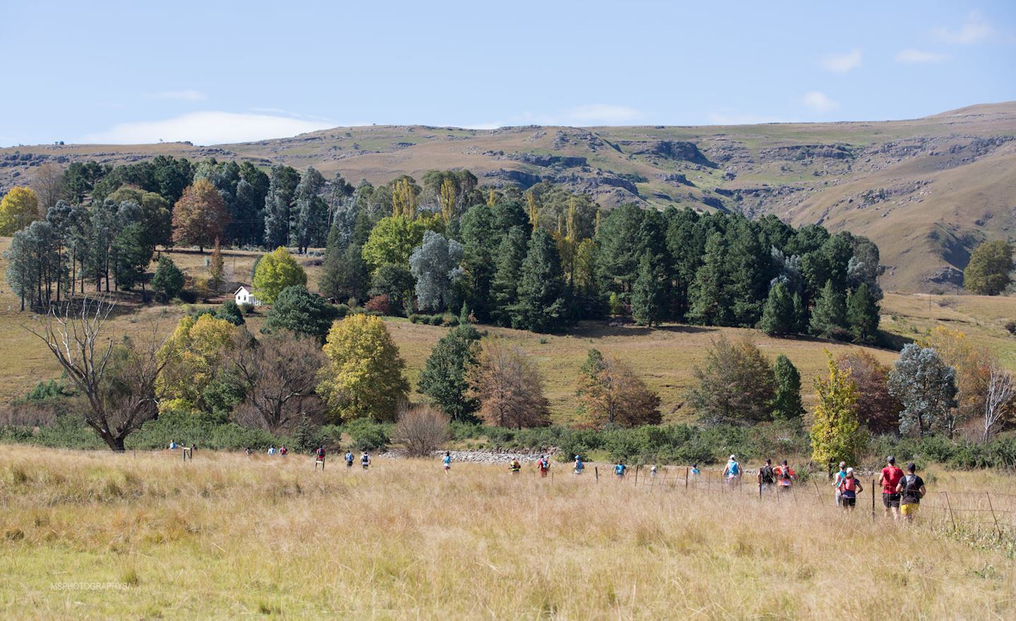 ultra trail drakensberg