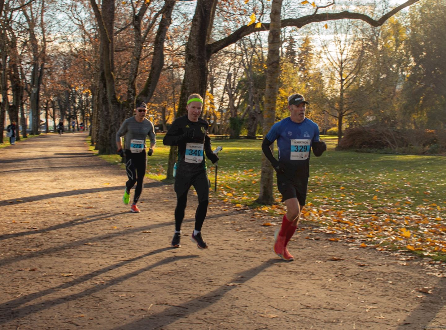 Uppsala Marathon & Half Marathon, 26 Oct 2024 World's Marathons