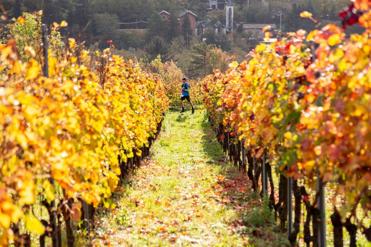 valle dei segni wine trail