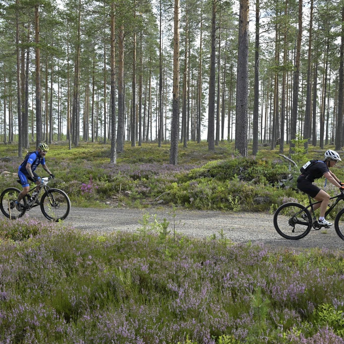 vasaloppet cycling races