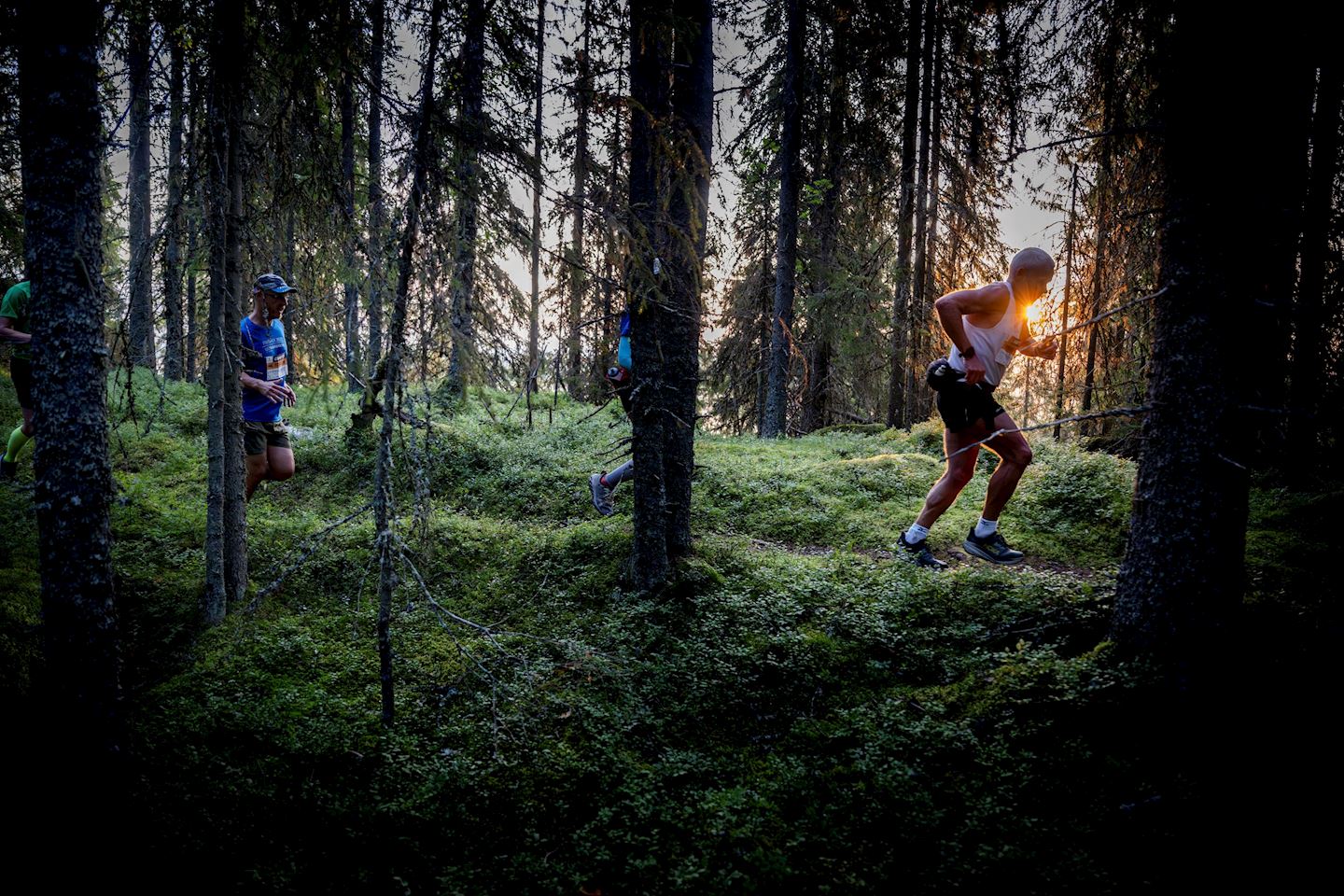 vasaloppet running races