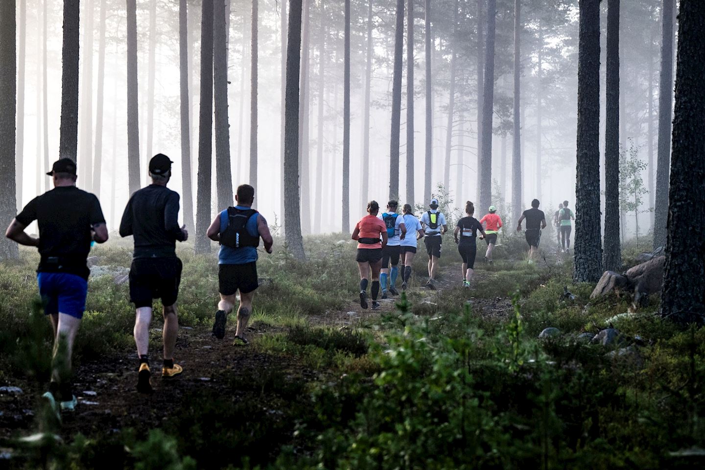 vasaloppet running races
