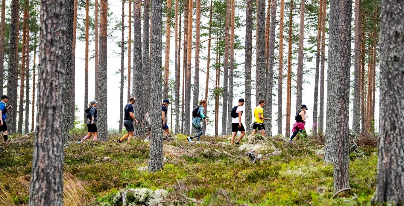 vasaloppet running races