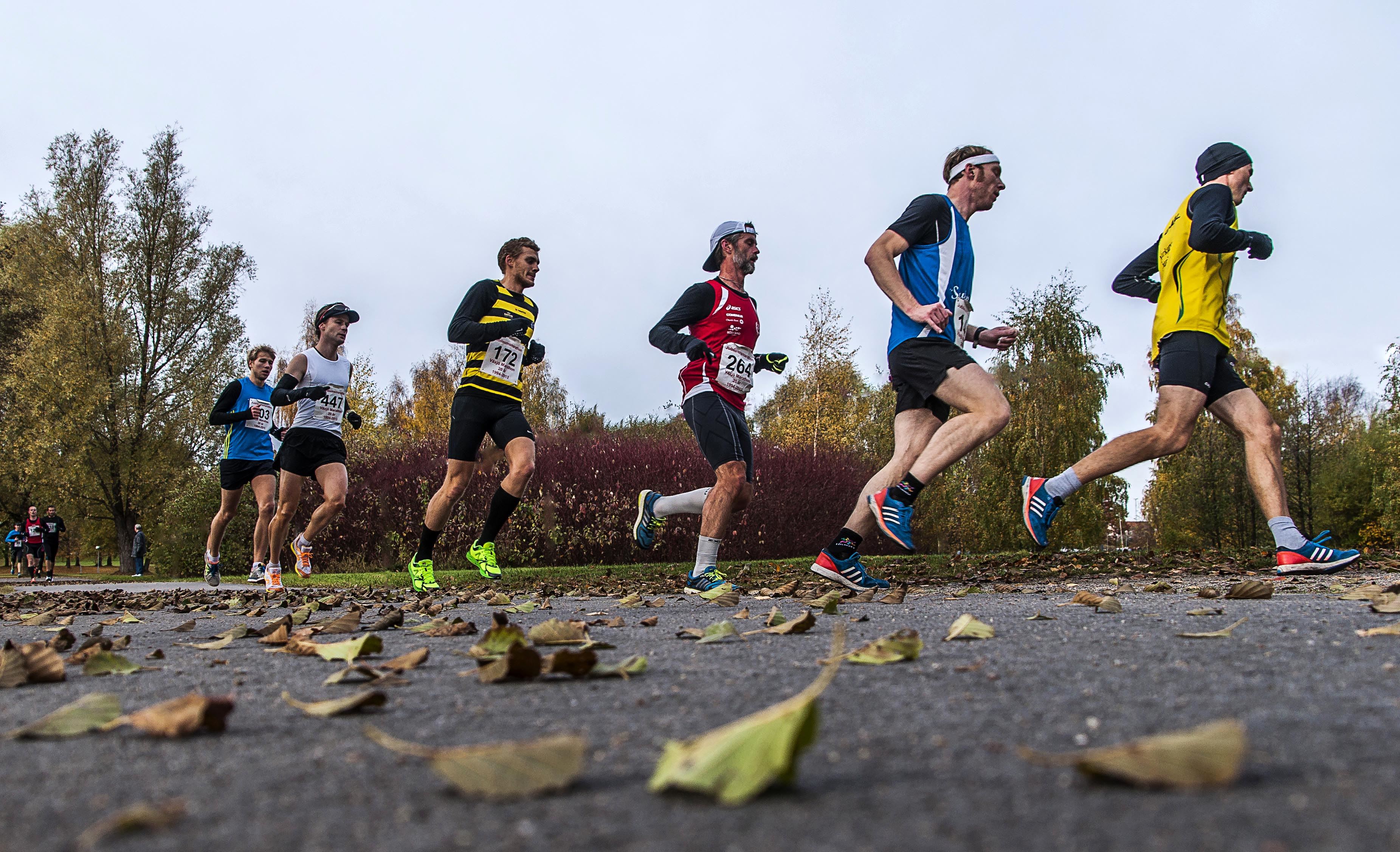 Växjö Marathon, 19 oct. 2024 World's Marathons