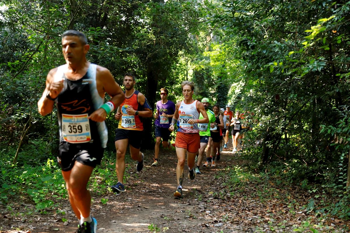 venice lido beach trail