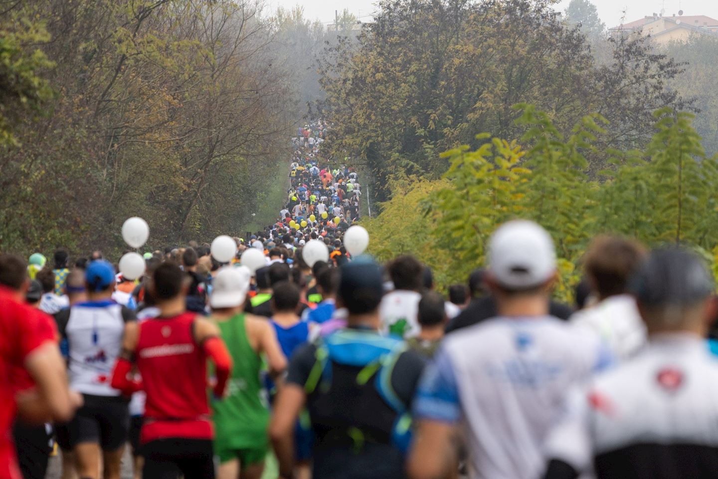 verona marathon