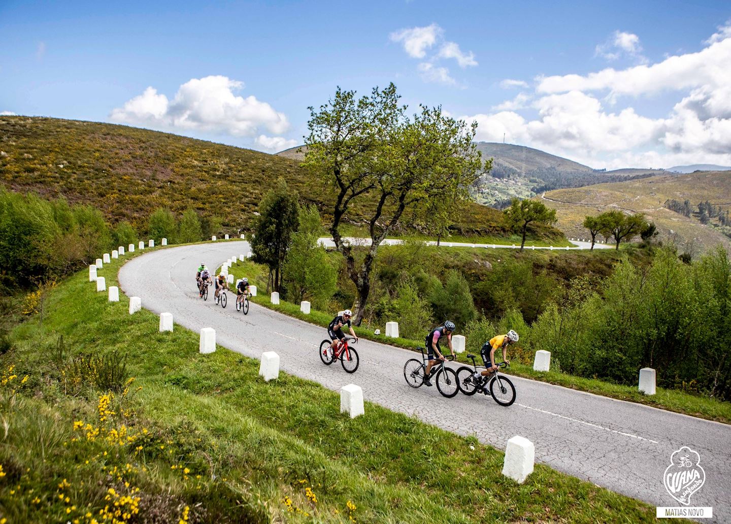 viana granfondo