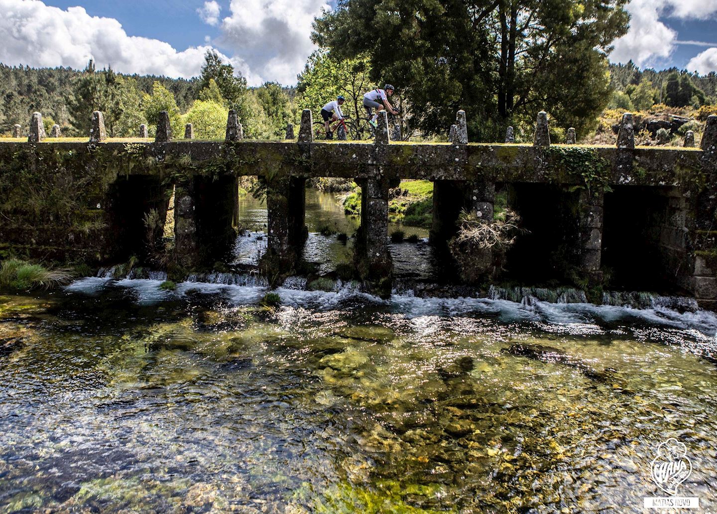 viana granfondo