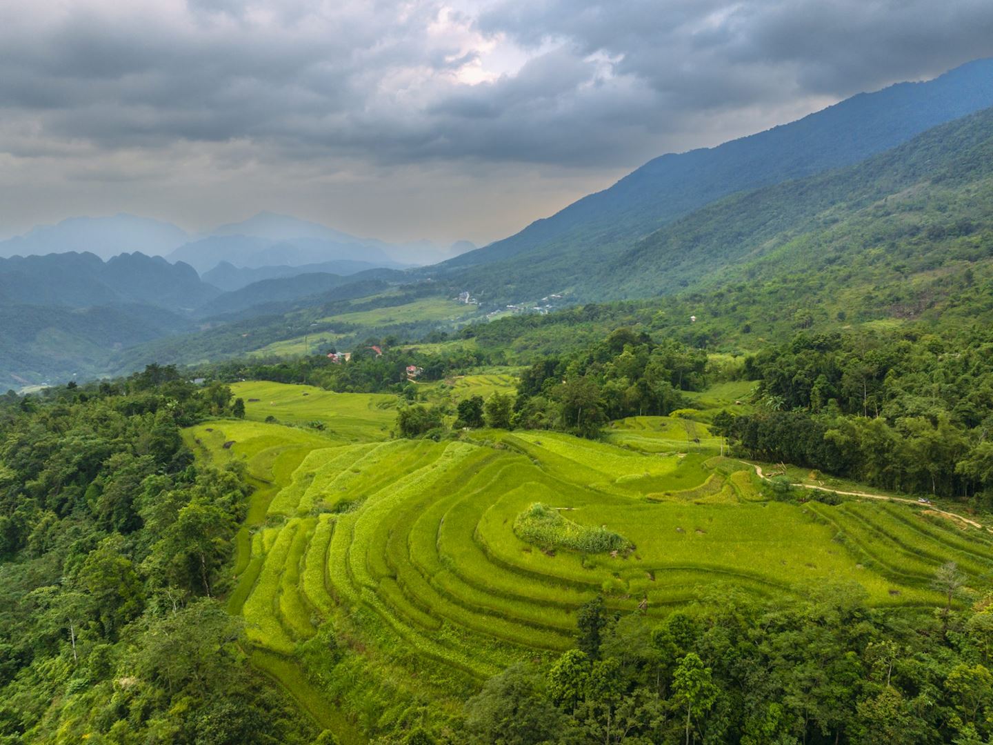 vietnam jungle marathon