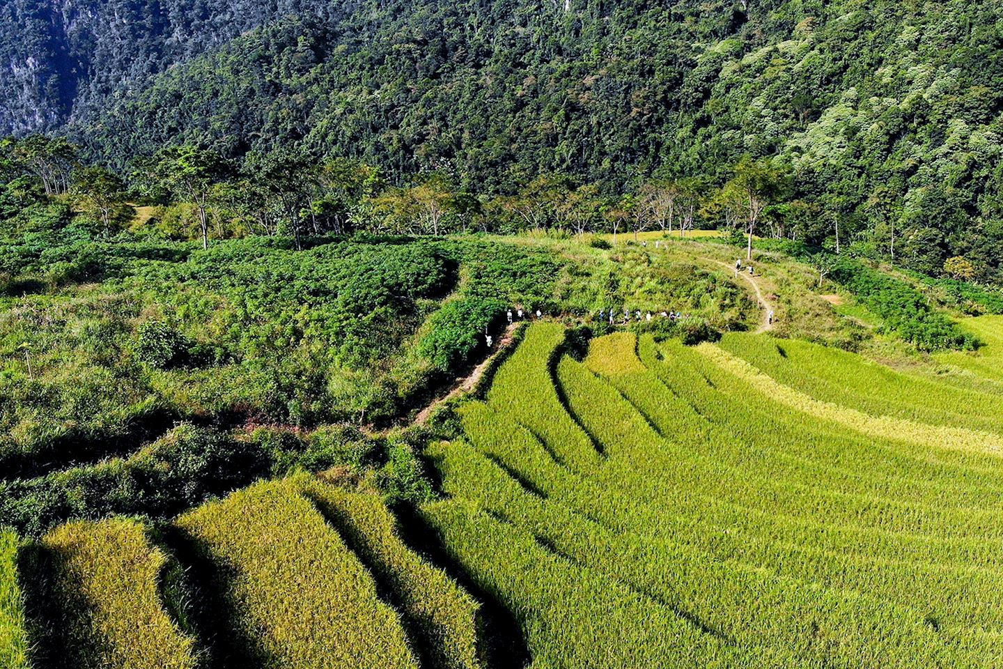 vietnam jungle marathon