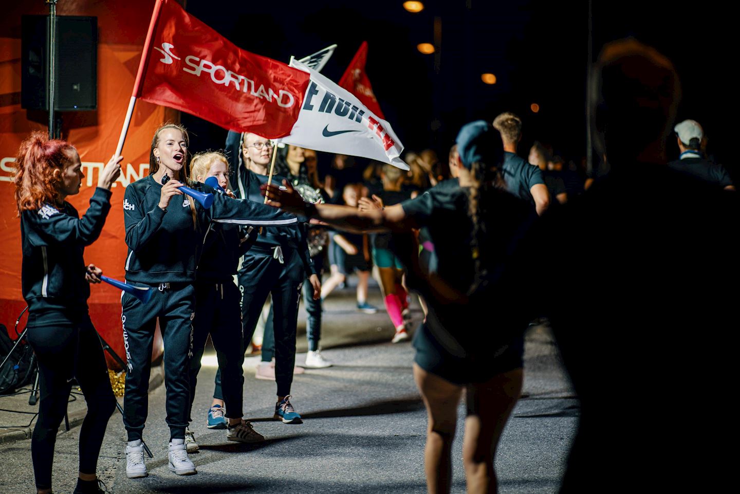 viking line night run estonia rakvere