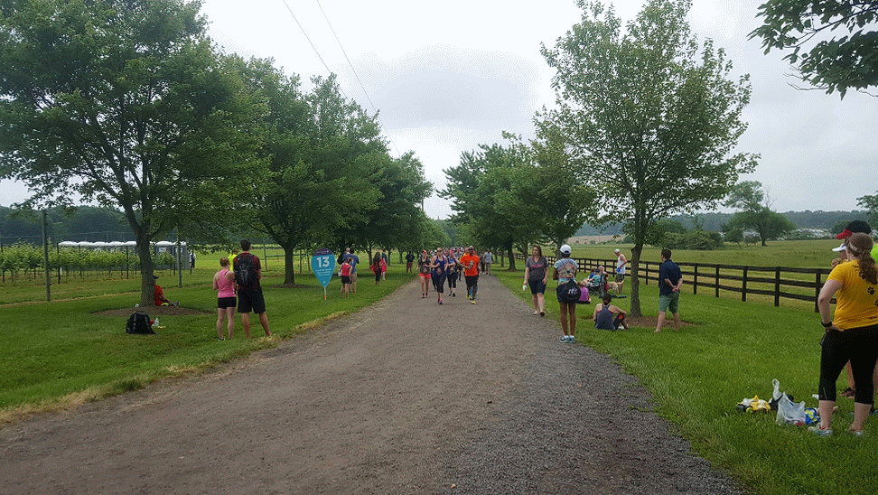 virginia wine country half marathon