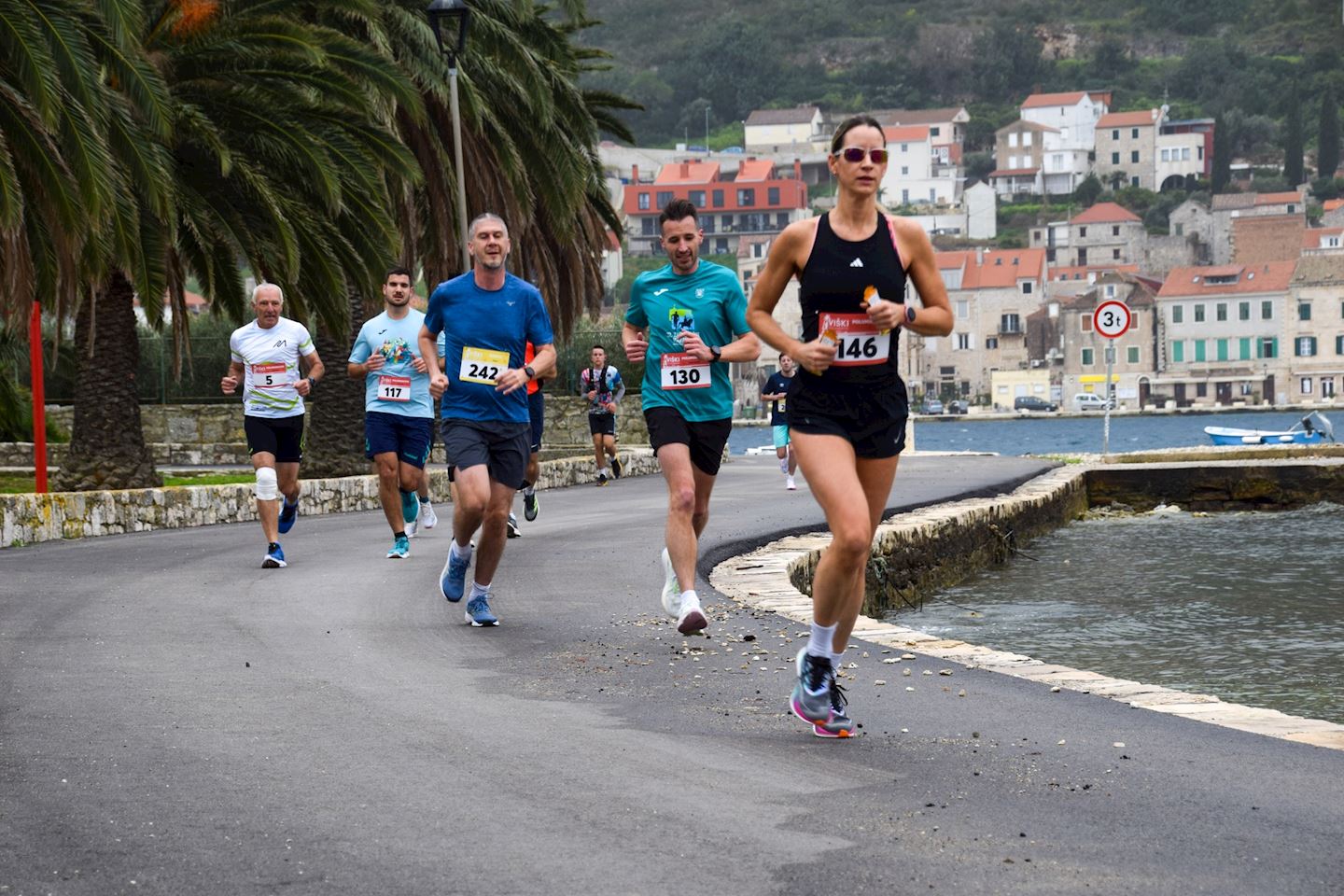 vis half marathon