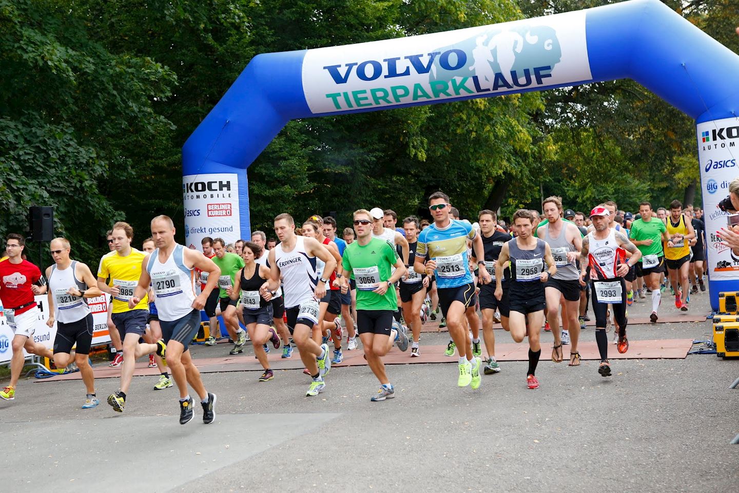 volvo tierparklauf