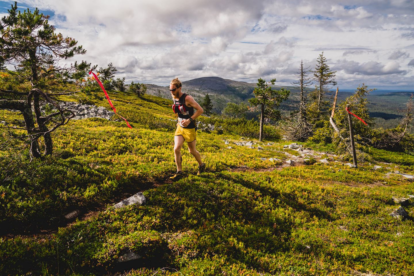 vuokatti trail challenge