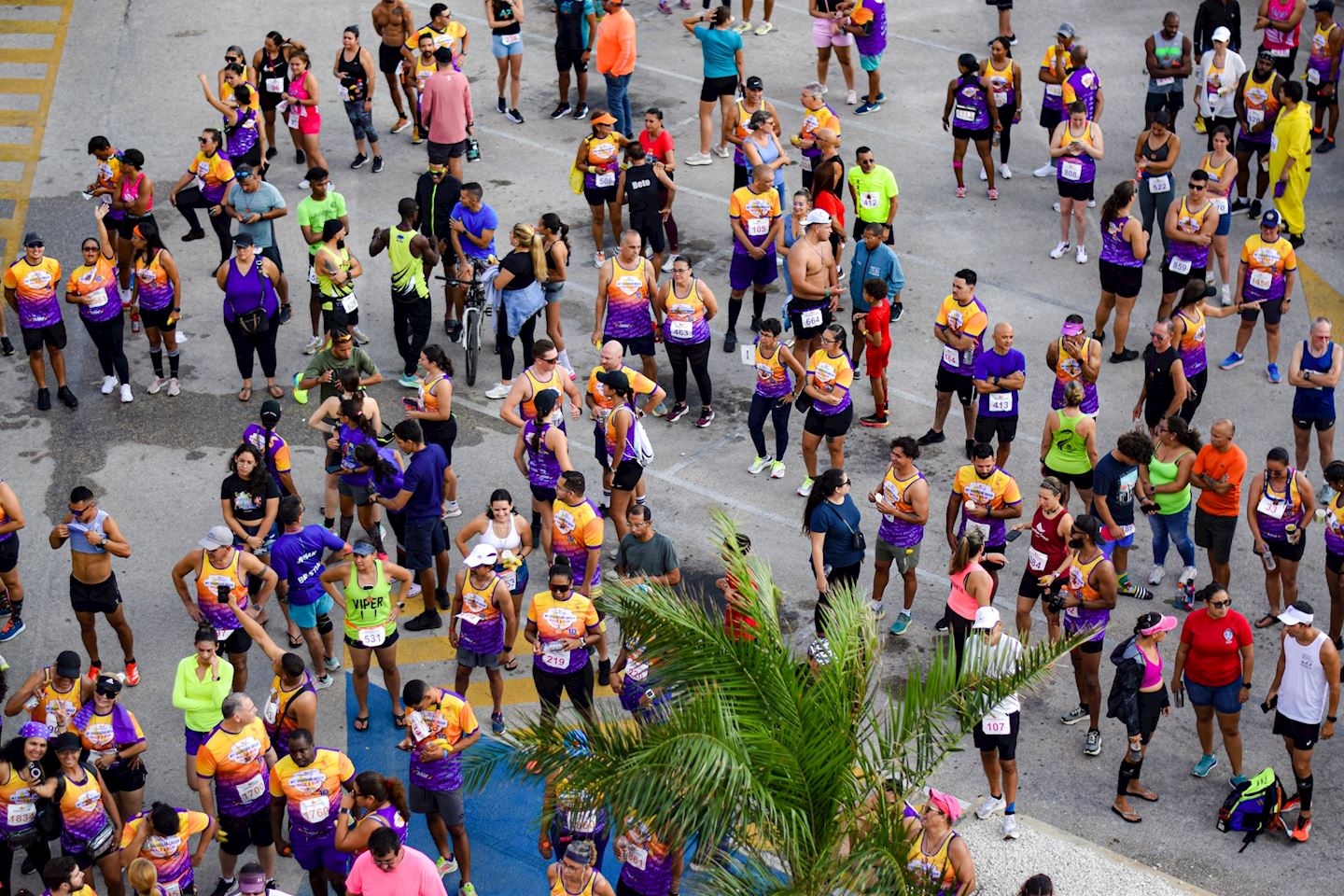 walk run aruba
