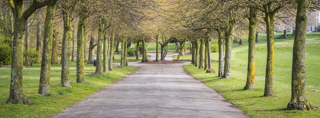 weald country park essex 10k