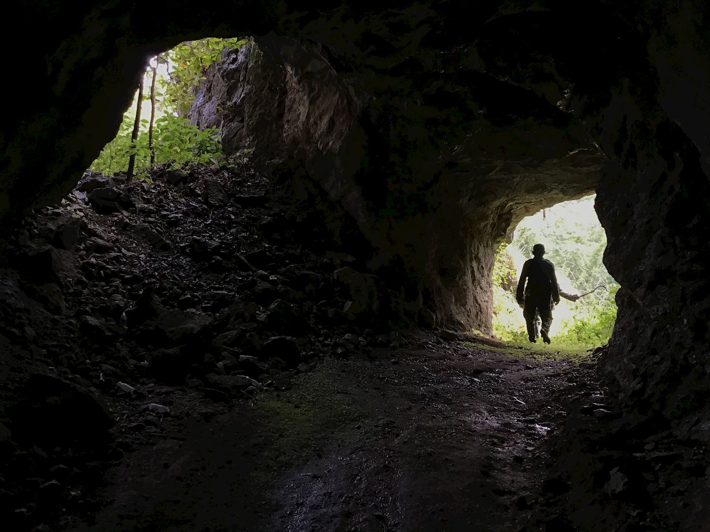 western forest trail