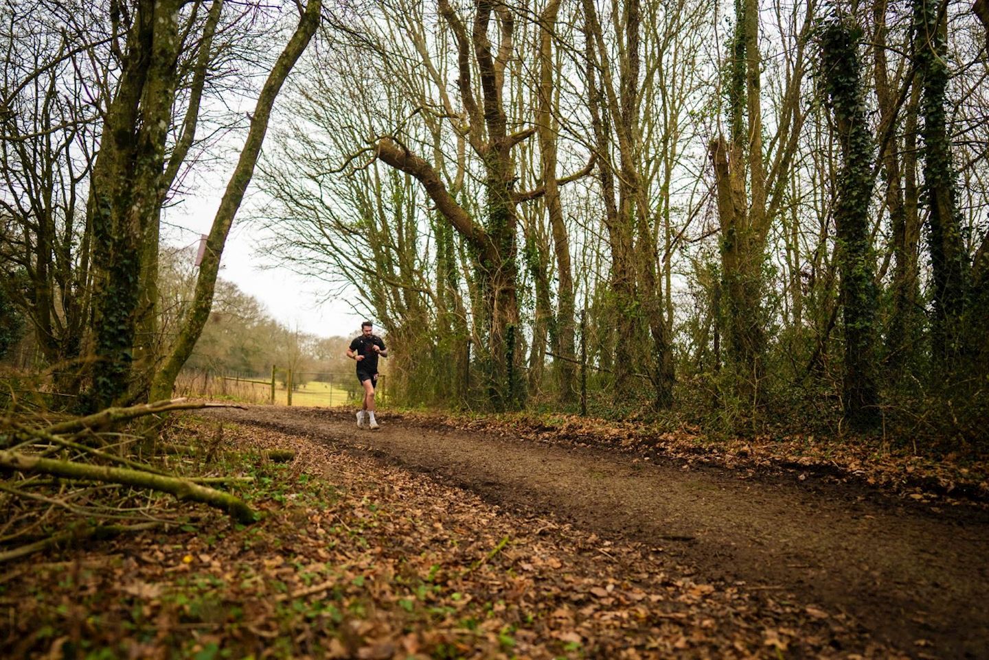 winchester trail run