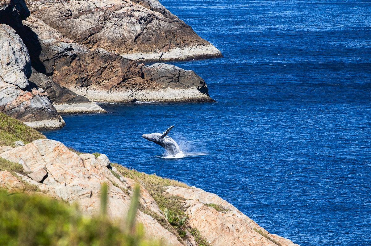 wtr arraial do cabo