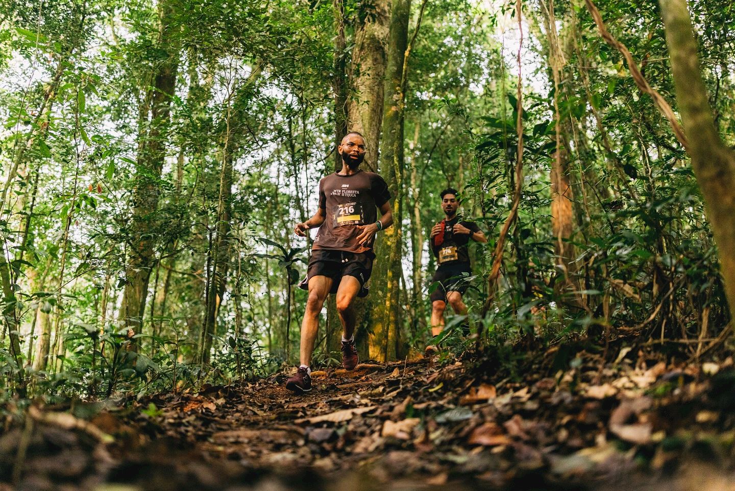 wtr floresta da tijuca