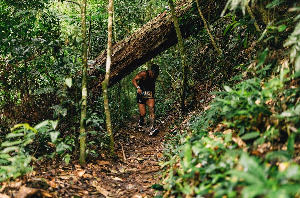 wtr floresta da tijuca